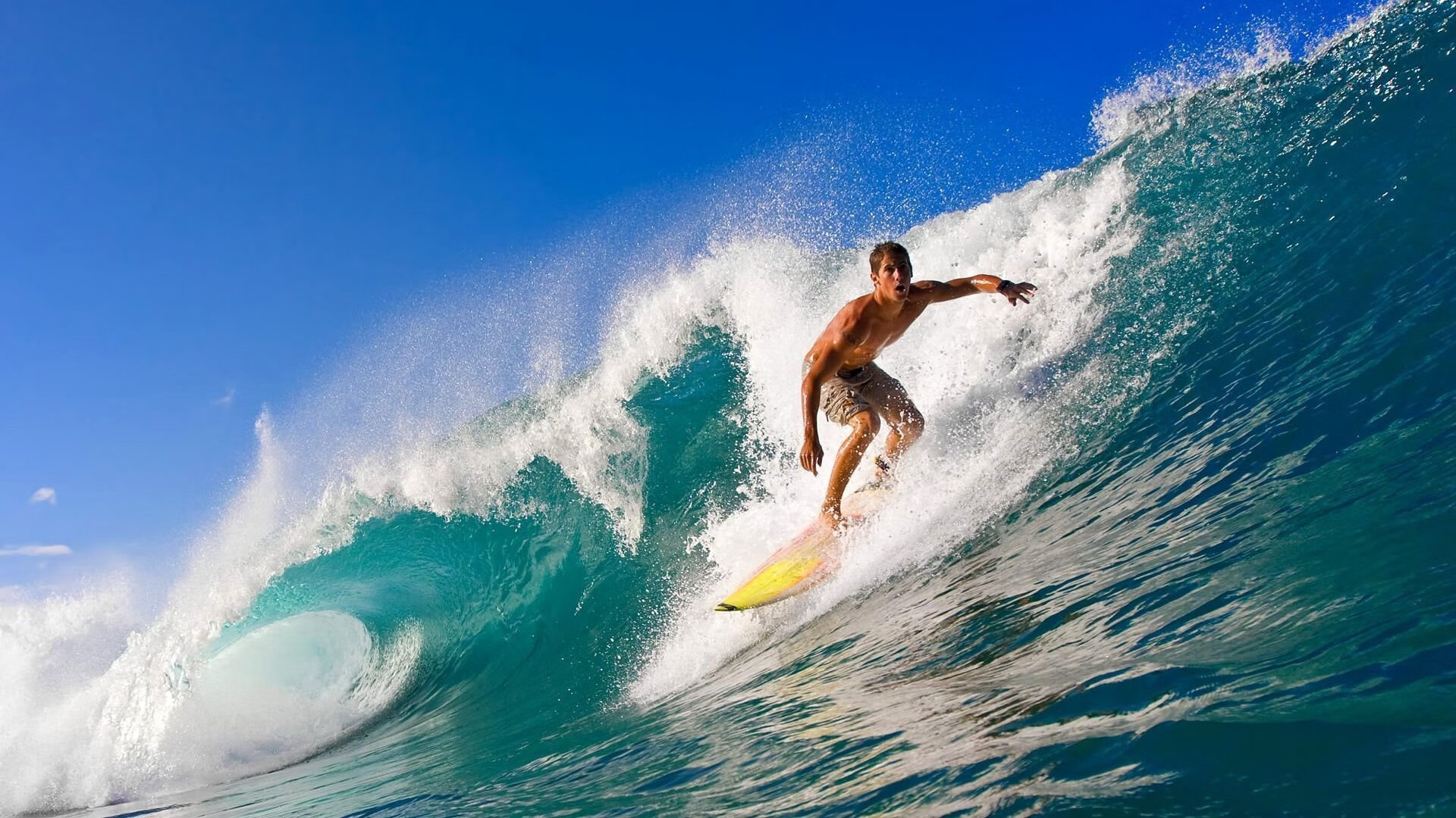 世界杯焦点战与NBA宿敌对决，体育精神的跨界交响